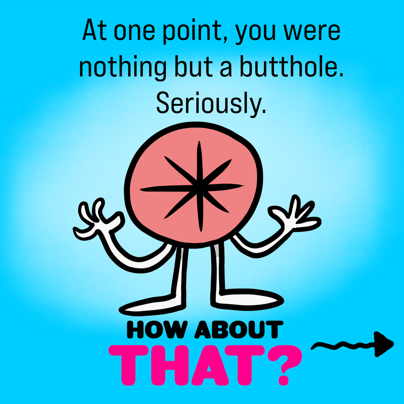 You Were Nothing But A Butthole | How About That | Exploding Kittens Blog