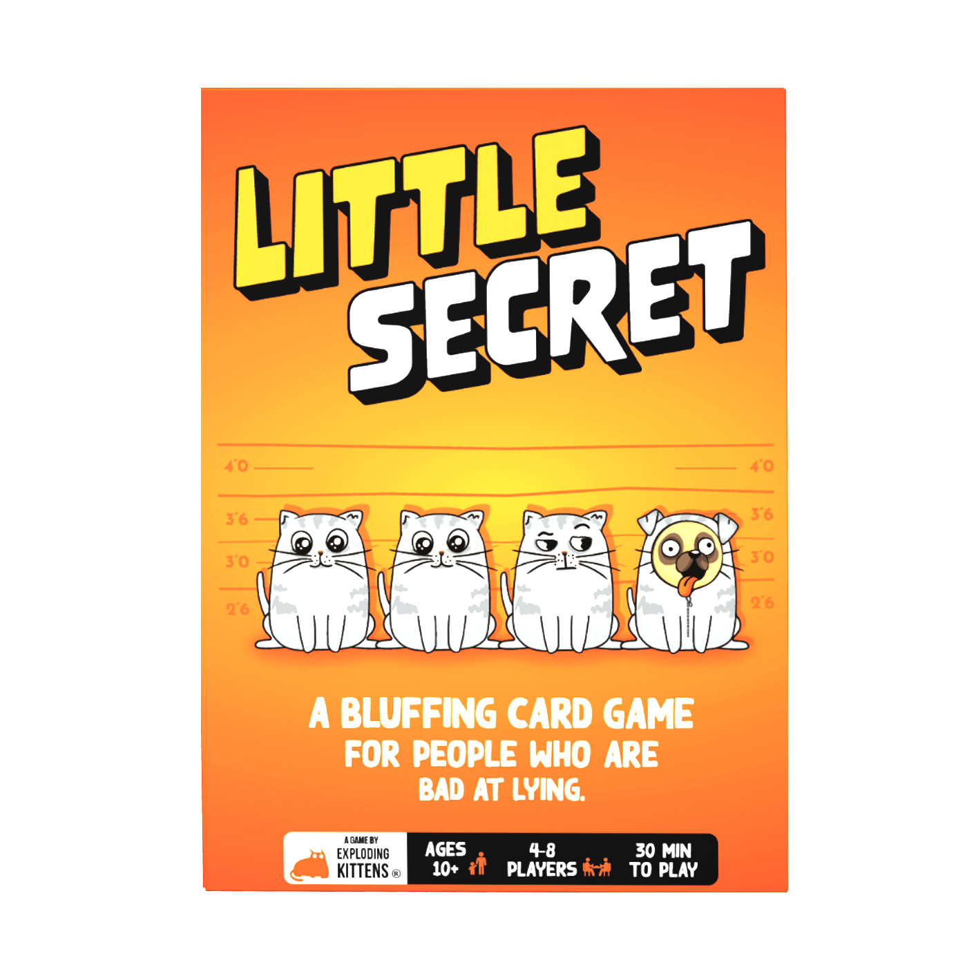 Little Secret