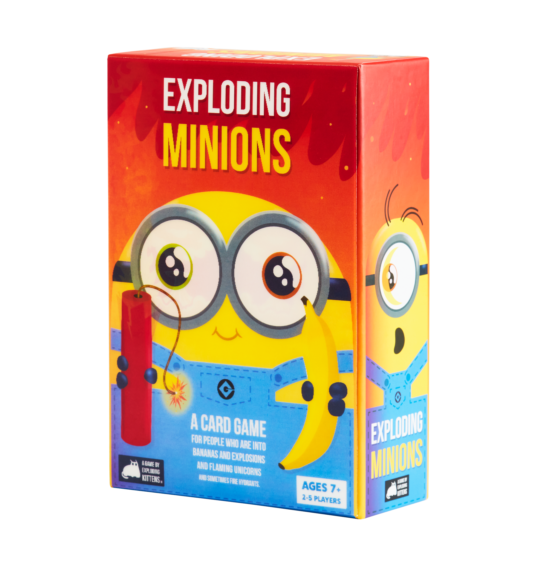 Instructions Rules The Game of Life Despicable Me Minion Made
